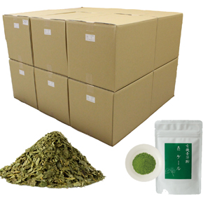 kenkou