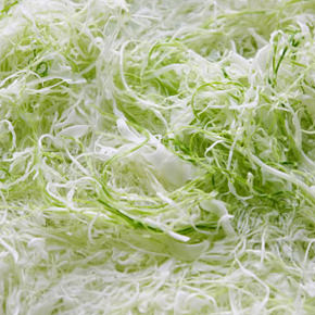 cabbage_sengiri_b