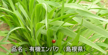 enbaku