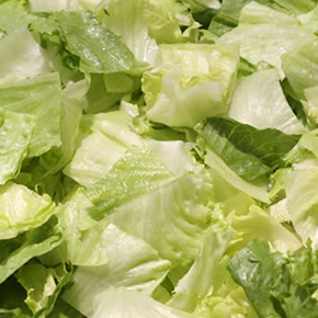 lettuce_kaku_b