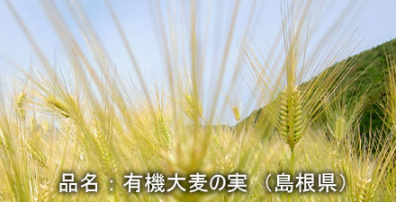 oomuginomi-organic