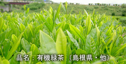 ryokucha