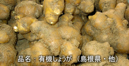 syouga